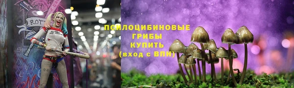 эйфоретик Зеленокумск