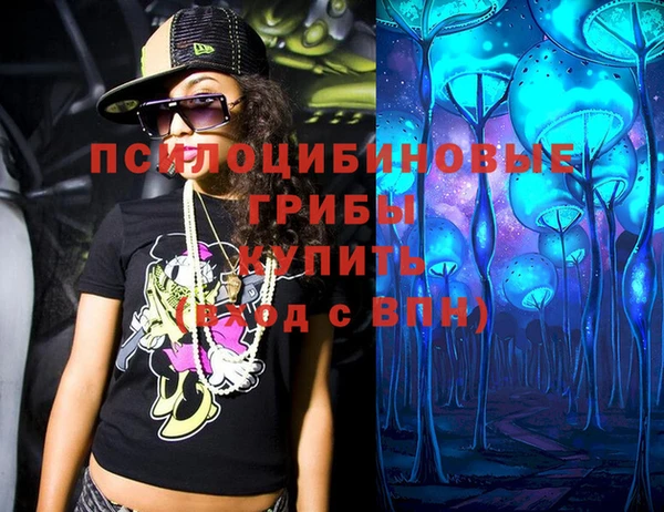 шишки Зеленодольск