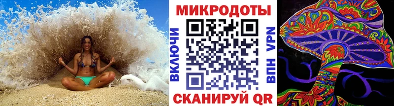 Псилоцибиновые грибы Psilocybine cubensis  Скопин 