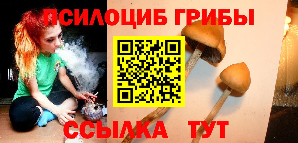 Галлюциногенные грибы прущие грибы Скопин